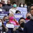 A crowd of supporters holds signs promoting non-citizen voting rights in New York City, while a speaker addresses the group. A crowd of supporters holds signs promoting non-citizen voting rights in New York City, while a speaker addresses the group.