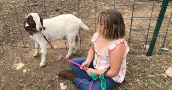 A girl sitting on the ground next to her pet goat, with a fence in the background.