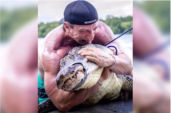A muscular man wearing a cap is wrestling with a large alligator while holding it against his chest.