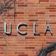 Sign displaying "UCLA" on a brick wall, with vines partially covering the area. Sign displaying "UCLA" on a brick wall, with vines partially covering the area.