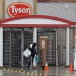 Entrance of a Tyson Foods plant with a person walking through the gates during rainy weather. Entrance of a Tyson Foods plant with a person walking through the gates during rainy weather.