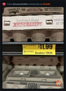 Cartons of eggs displaying price comparison tag