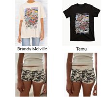 Brandy Melville Temu item comparison